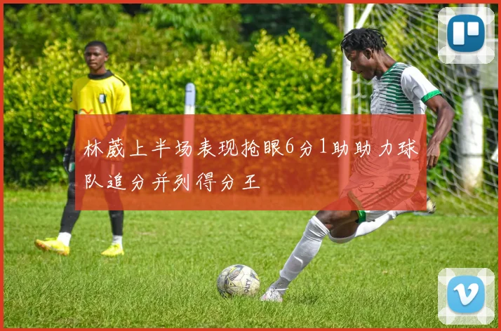 林葳上半场表现抢眼6分1助助力球队追分并列得分王